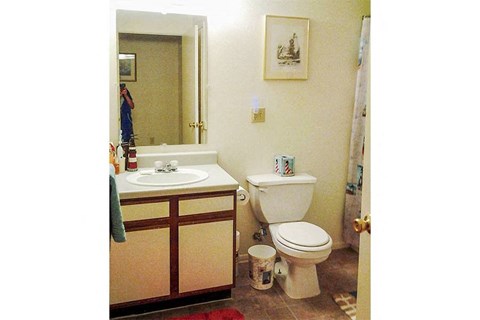 a bathroom with a toilet and a sink and a mirror