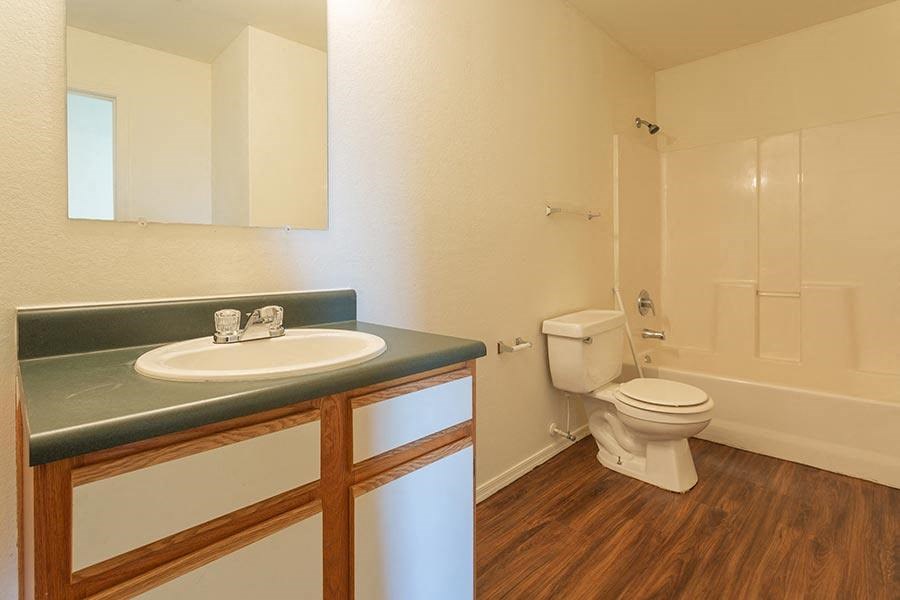 a bathroom with a sink and a toilet