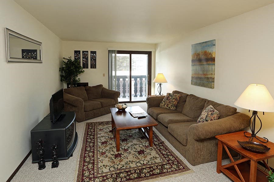 a living room with a couch and a television