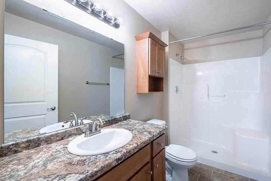 a bathroom with a sink and a toilet