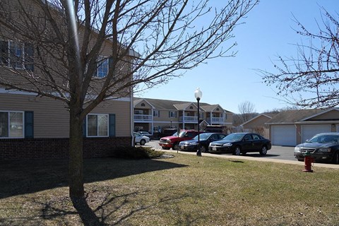 A tree in front of a building with cars parked in the background.