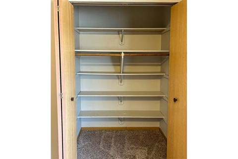 A pantry with a door open showing shelves and a carpeted floor.