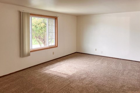 A room with a carpeted floor and a window.