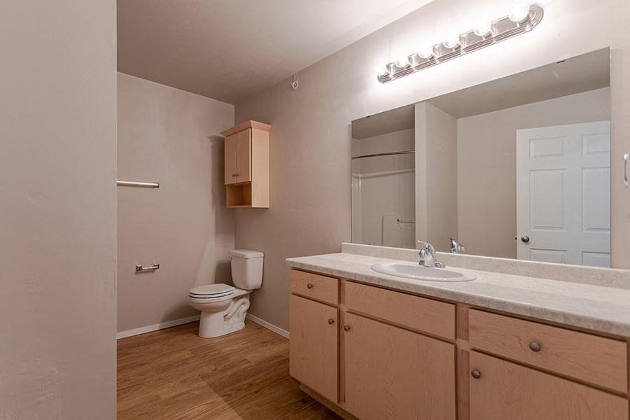 a bathroom with a toilet and a sink and a mirror