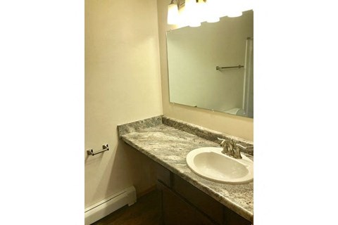 a bathroom with a sink and a mirror