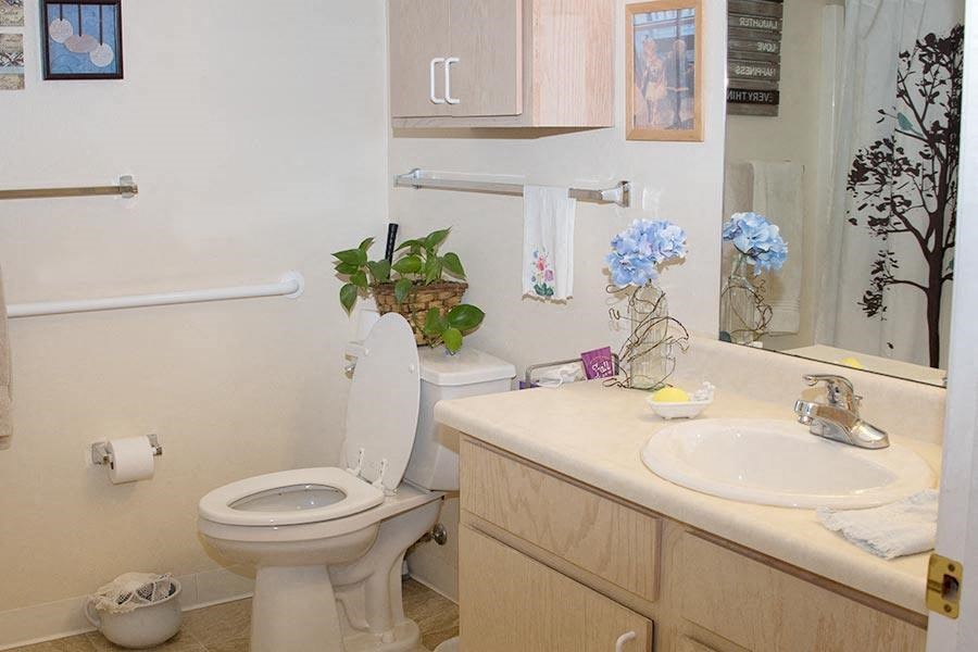 a bathroom with a toilet and a sink and a mirror
