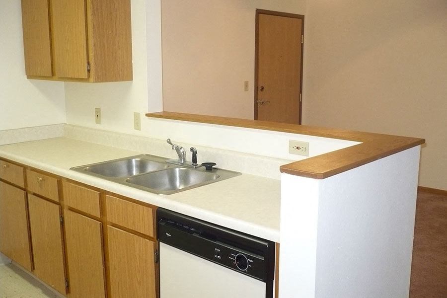 an empty kitchen with a sink and a dishwasher