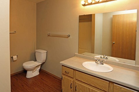a bathroom with a toilet and a sink and a mirror
