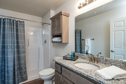 a bathroom with a sink and a shower and a toilet