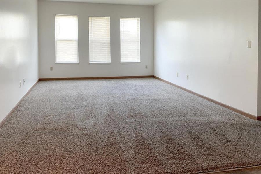 an empty room with a carpeted floor and three windows