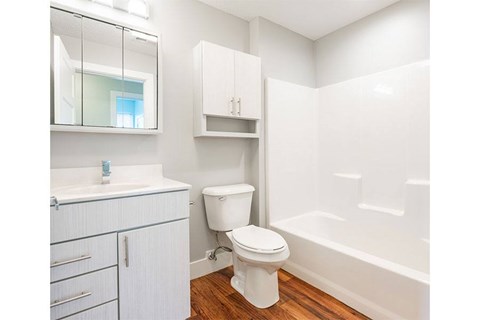 A white toilet sits in a bathroom with a white cabinet and a mirror above it.