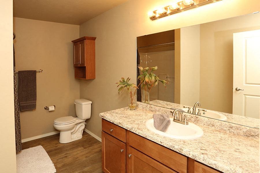 a bathroom with a sink and a toilet