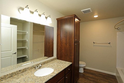 a bathroom with a sink and a toilet