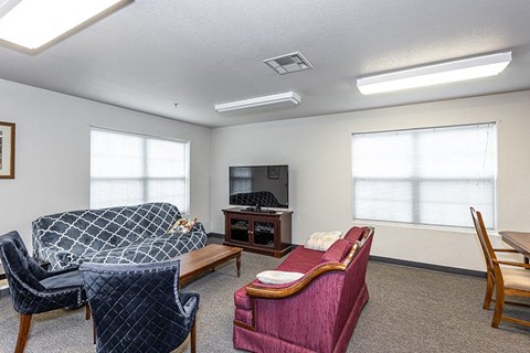 A living room with a grey sofa, a blue chair, a pink couch, and a television.