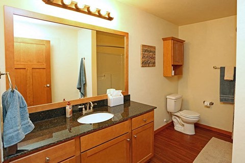 a bathroom with a sink and a toilet and a large mirror