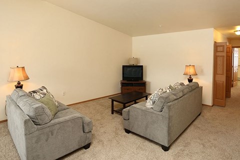a living room with two couches and a television