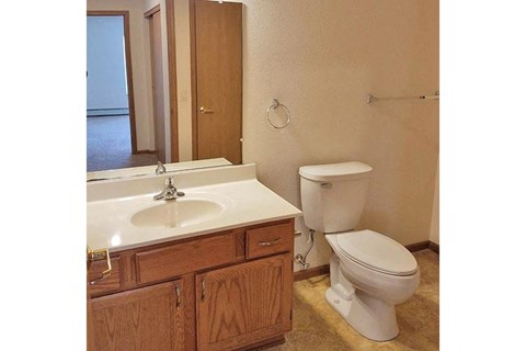 a bathroom with a toilet and a sink and a mirror
