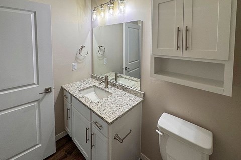 A bathroom with a sink, mirror, and toilet.