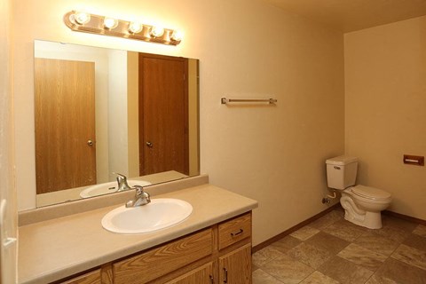 a bathroom with a sink and a toilet and a mirror