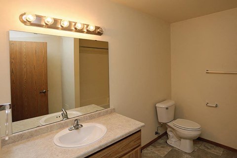 a bathroom with a sink and a toilet and a mirror