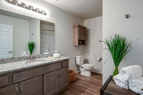 a bathroom with a sink and a toilet and a mirror