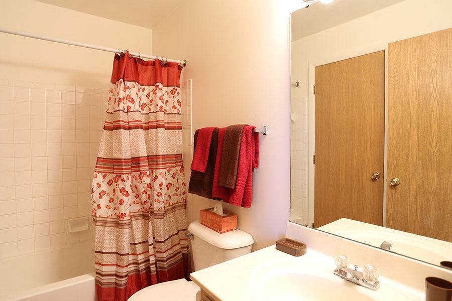 a bathroom with a toilet and a sink and a mirror