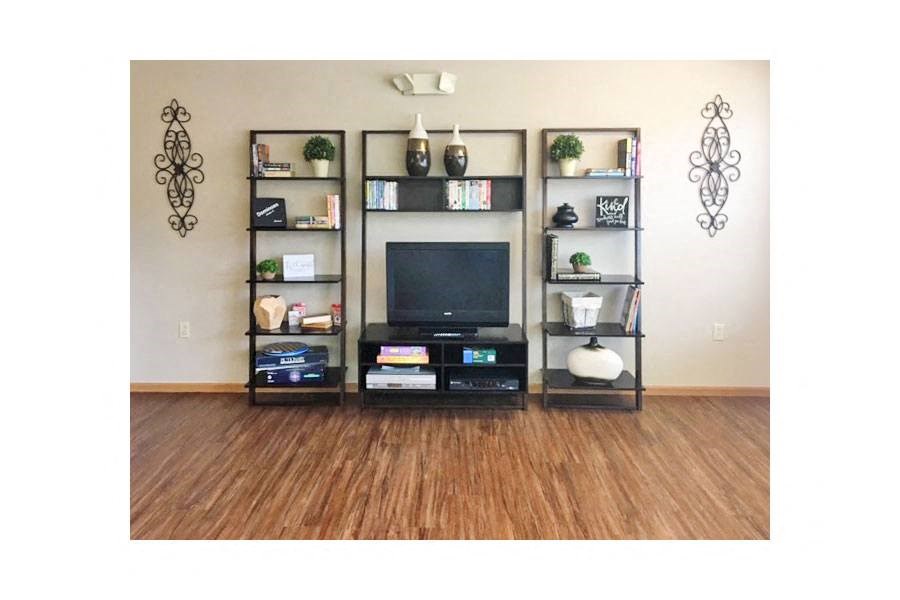 a living room with a television and shelves