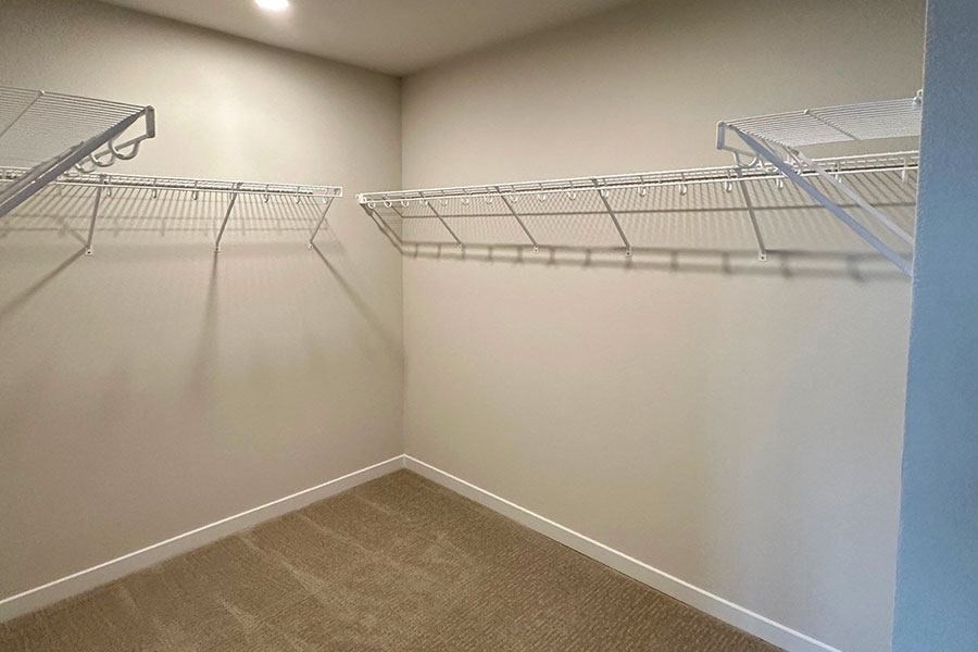 Empty walk-in closet with shelves and carpeted floor.