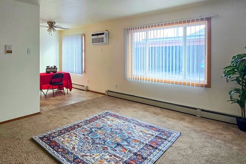A room with a rug on the floor and a window with blinds.