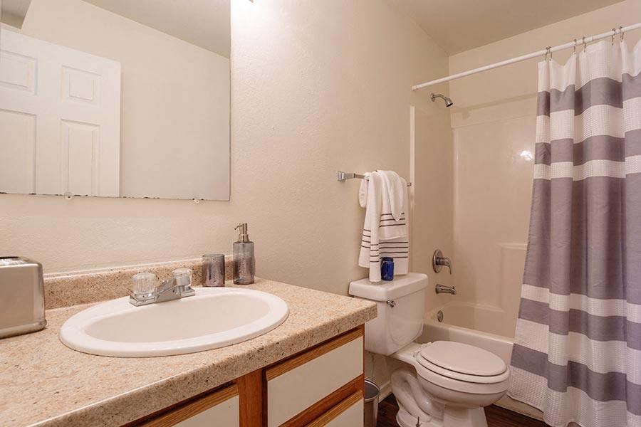 a bathroom with a sink and a toilet and a shower