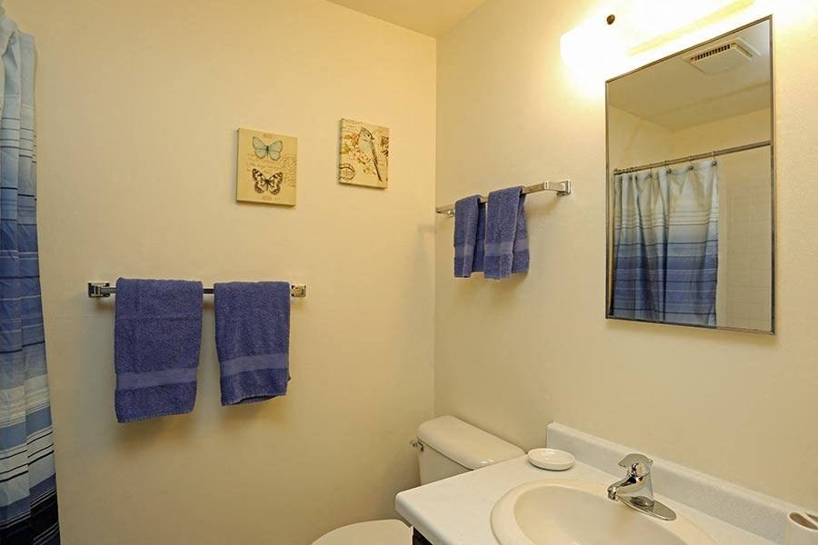 a bathroom with a sink toilet and a mirror