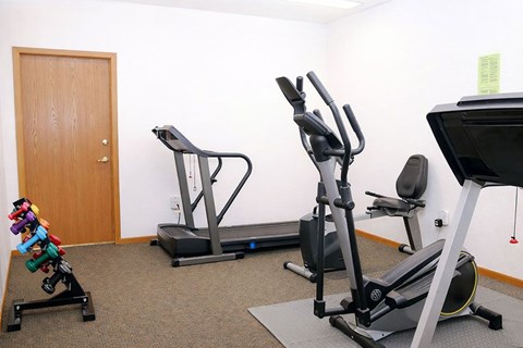 A home gym with a treadmill, stationary bike, and weights.