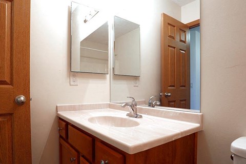 a bathroom with a sink and a mirror