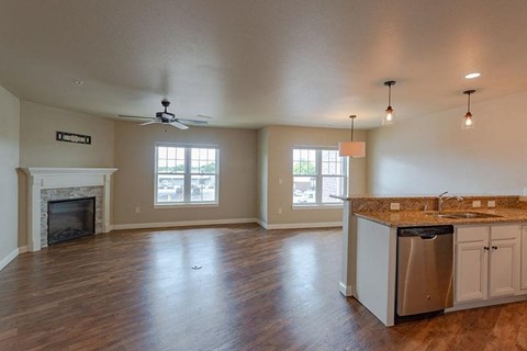 A spacious living room with a fireplace and a kitchen area with a sink and dishwasher.