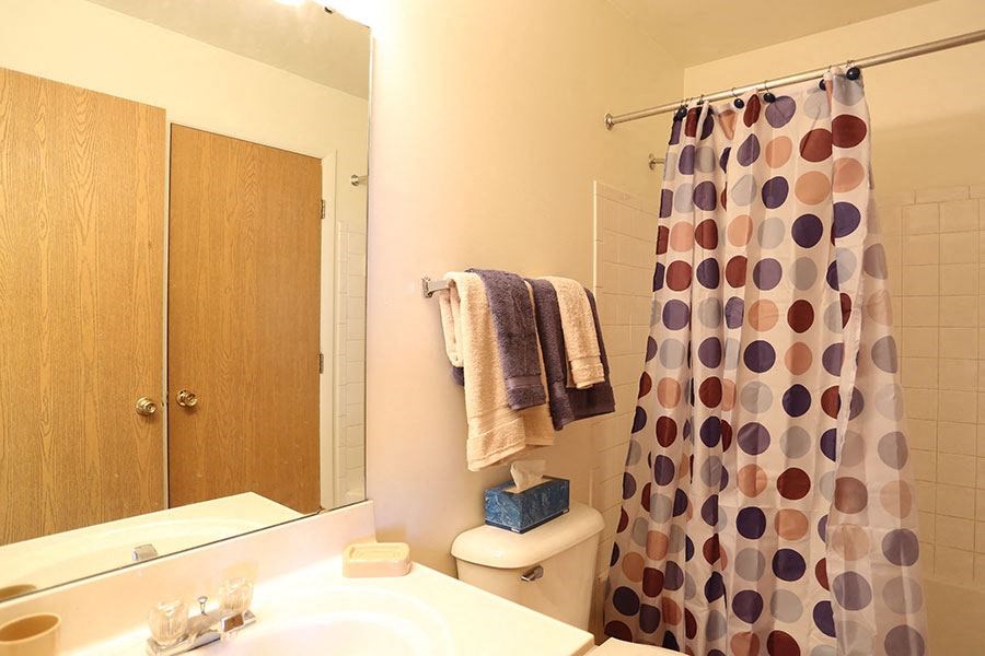 a bathroom with a shower curtain and a toilet and a sink