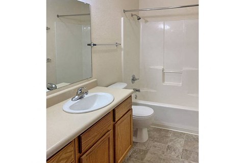a bathroom with a sink and a toilet
