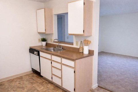A kitchen with a sink, a dishwasher, and wooden cabinets.