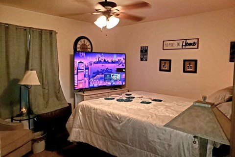 a bedroom with a bed and a tv in it