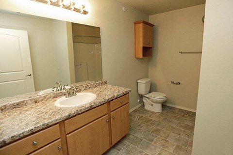 a bathroom with a sink and a toilet
