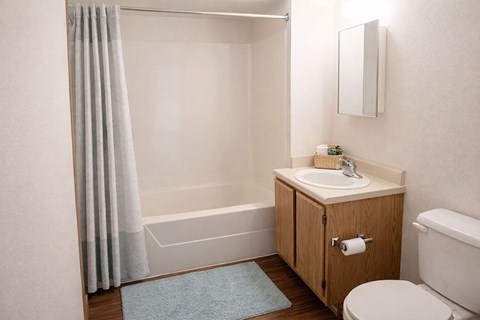 A bathroom with a sink, toilet, and bathtub.