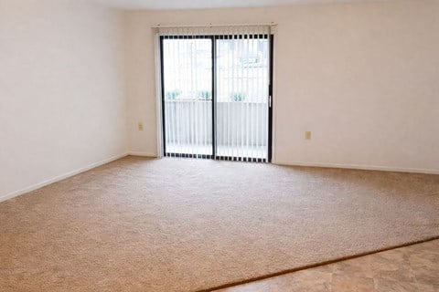 A room with a carpeted floor and a sliding glass door.