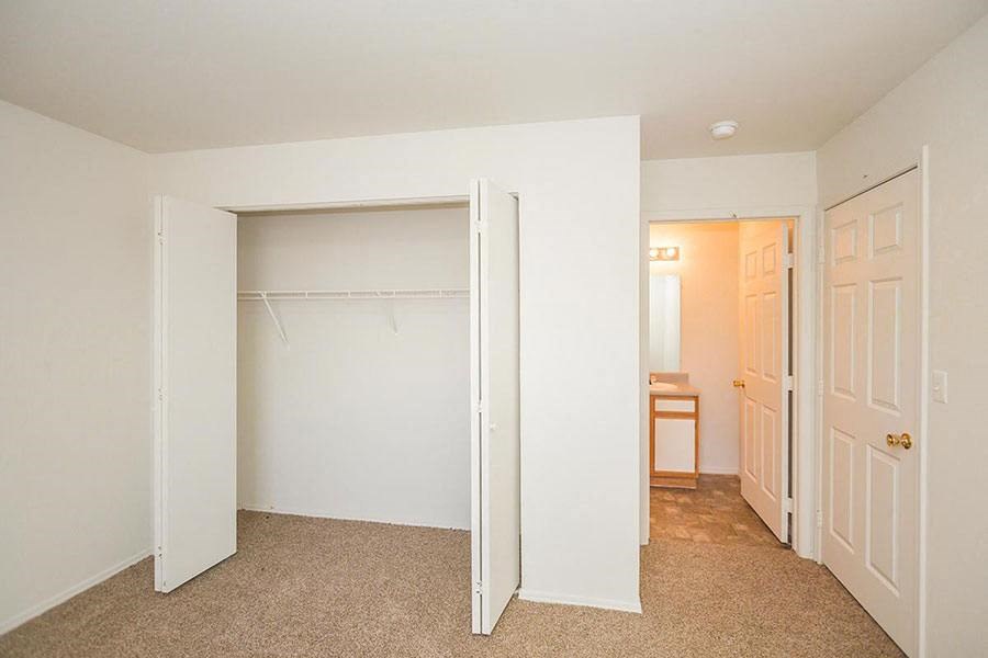 A white closet with a carpeted floor and a white door.