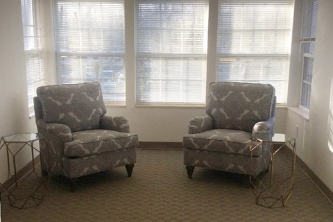 two chairs in a living room with windows