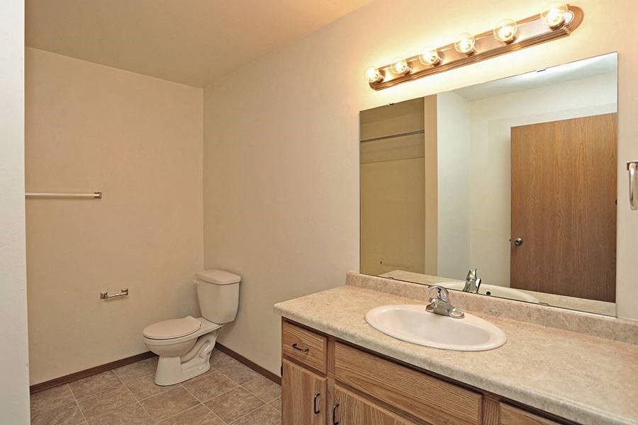 a bathroom with a sink toilet and a mirror