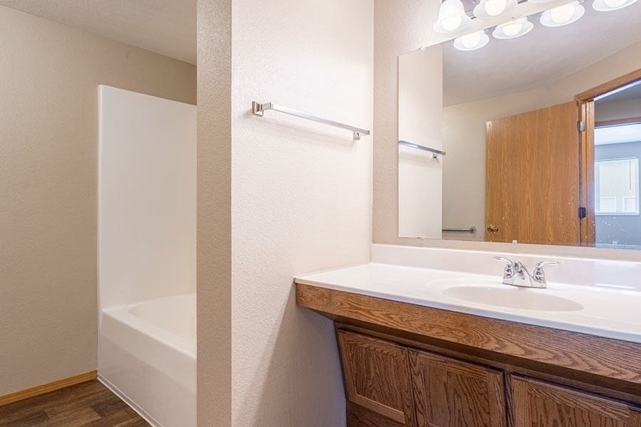a bathroom with a sink and a mirror