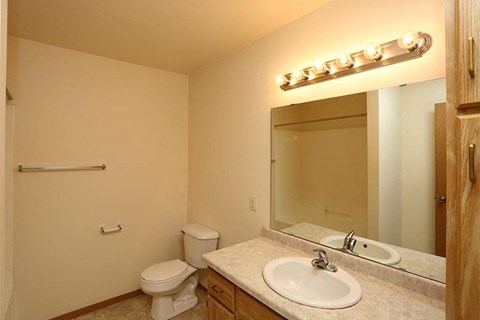 a bathroom with a sink toilet and a mirror