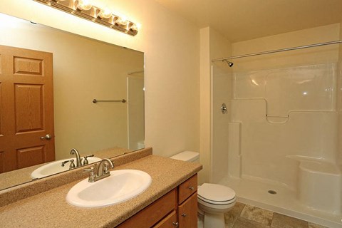 a bathroom with a sink toilet and a shower