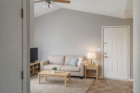 A living room with a couch, a coffee table, and a television.