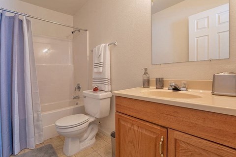 A white toilet sits in a bathroom next to a sink.