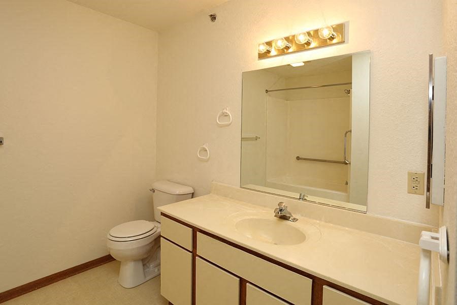 a bathroom with a sink and a toilet and a mirror